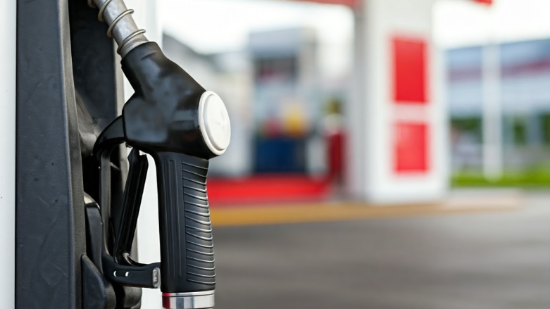 Pistola de estación de servicio puesta en la bomba.